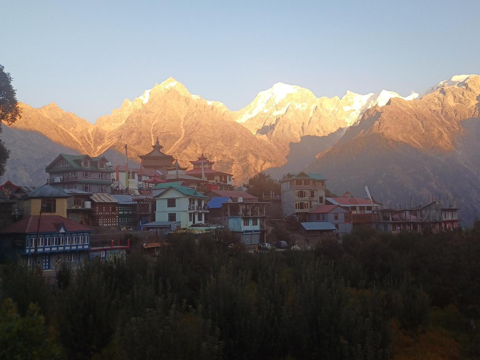 Pine View Retreat Homestay Kalpa Luaran gambar